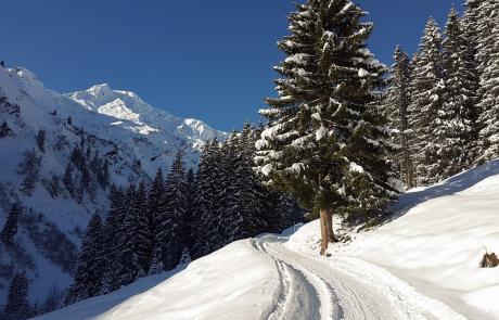 Aktivitäten im Kleinwalsertal