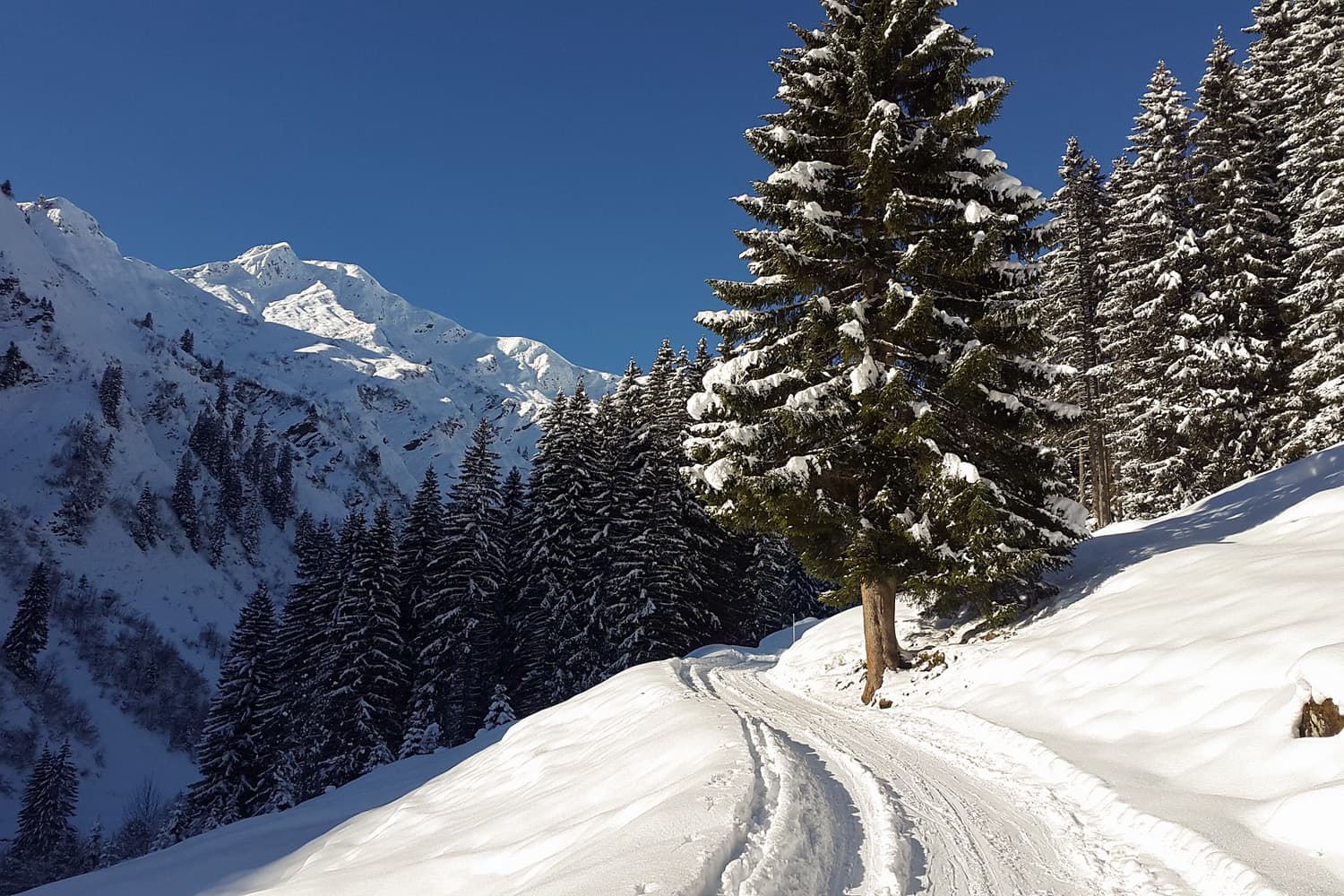 Hirschegg im Kleinwalsertal